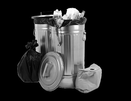 Professional waste removal team at work